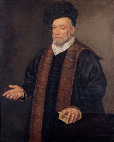 Portret van een Dokter door Francesco Montemezzano